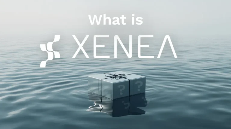 Perceptron Xenea Quiz Answers