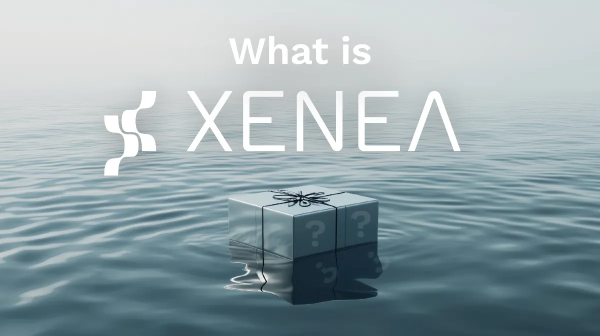 Perceptron Xenea Quiz Answers